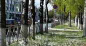 Ударят первые заморозки: синоптики предупредили о резком сломе погоды