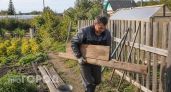 Почему я больше не выбрасываю старые доски: 12 полезных находок для огорода