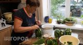Огурцы по-баварски: добавляю один ингредиент из супа, и рассол становится деликатесом