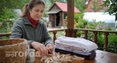 Скупаю в «Светофоре» обычные прищепки: приспособила их на даче так, что соседи теперь умоляют продать идею