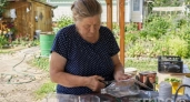 Пластиковые баклашки - берегу как сокровище: 5 способов сделать из них полезные и эффектные гаджеты для дома