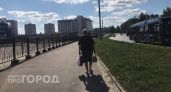 Йошкаролинка отдала все свои деньги преступникам, чтобы поймать мошенников