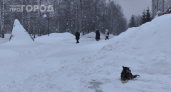 Синоптики предупреждают — спокойной зимы не будет: что ждёт Россию 