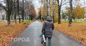 Мать и дочь погибшего бойца СВО из Марий Эл чуть было не оставили без положенных выплат