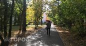 Жительница Марий Эл "спасла" свою Приору за 2 млн