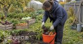 Мыши съедят урожай, а кора лопнет: 5 дачных дел, которые срочно нужно сделать до Покрова
