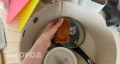 Раз в неделю или раз в месяц: микробиолог объяснил, как часто нужно менять кухонную губку