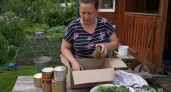 Консервные банки - сокровище для хозяйки: как превратить жестяную тару в полезный помощник для кухни и дачи