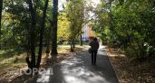 Женщина из Медведевского района потеряла 90 тысяч из-за самодельного трактора