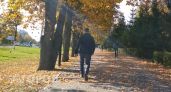 Житель Йошкар-Олы лишился немецкой иномарки из-за воровства и выпивки