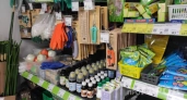 Почему я жду садовый завоз в Fix Price: 5 полезных находок для дачи, которые помогут в сезон получить щедрый урожай