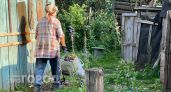 Береза по 15 тысяч: во сколько обойдутся дрова жителям Марий Эл