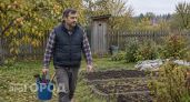 Скворечники над ямой уходят в прошлое: умные дачники заменяют привычные туалеты новым вариантом без вони, мух и откачки
