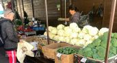Где в Марий Эл выгоднее всего купить картофель: цены от 25 рублей
