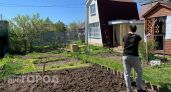 Погреб не спасет урожай: советы по сохранению овощей с дачи опытного огородника из Йошкар-Олы