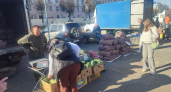 Вся Йошкар-Ола собралась на ярмарке в центре города: “Гору овощей торгуют по низким ценам”