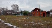 Урожай скорее укрывать: синоптики предупредили об аномальных заморозках в октябре