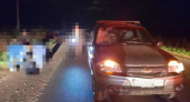 Велосипедист в Марий Эл погиб под колесами попутной "Нивы"