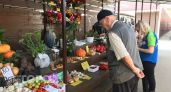 Картофель и капуста рухнули в цене в Марий Эл