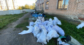 Школьники и студенты очистили Волжск почти от тонны мусора
