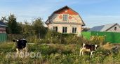Йошкаролинка лишится участка из-за долга в 780 тысяч