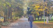 Волжанин украл 8 тысяч из сумки женщины чтобы расплатиться с долгами
