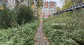 Короткий путь к школе №10 в Йошкар Оле зарос травой и ямами