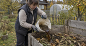 Компостная куча пыхтит как котёл плодородия: в октябре заливаю в неё жижу — к весне земля словно сливочное масло