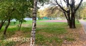 Йошкар-Олу ждет масштабная зачистка перед зимой сразу на четырех субботниках