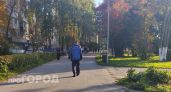 Алиментщик из Моркинского района пойдет под суд за брошенного ребенка