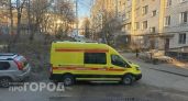 Мышиная лихорадка отправила на больничные койки 10 жителей Марий Эл