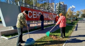 Сотрудники учреждений и студенты вышли на осенний субботник в Йошкар-Оле