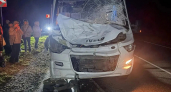 Полный туристов автобус из Йошкар-Олы сбил лося на ночной трассе