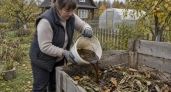 Компостную кучу превращаю в котёл плодородия: в октябре заливаю в неё жижу — к весне земля мягче сливочного масла