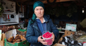 За марийскими травами едут из Аравии: как экс-глава колхоза стала известной травницей 