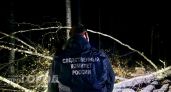 Ствол рухнул на лесоруба и задавил его насмерть в Марий Эл