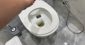 Зачем опытные хозяйки кладут чайный пакетик в унитаз: сантехника блестит без химии