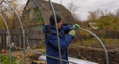 Не пленка и даже не поликарбонат: вот из чего теперь делают теплицы умные дачники 