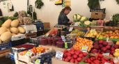Урожай картофеля бьет рекорды в Марий Эл