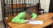 В Марий Эл злостный алиментщик накопил 775 тысяч рублей долга и отправился убирать улицы