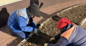 В Центральном парке Йошкар-Олы высадили более двух тысяч красных тюльпанов