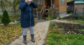 Один резкий запах обратит мышей в бегство: как защитить дачу от зимнего нашествия