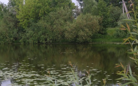 В Марий Эл спасатели со дна пруда достали тело мужчины