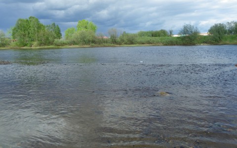 В Йошкар-Оле в реке Малая Кокшага утонул молодой человек
