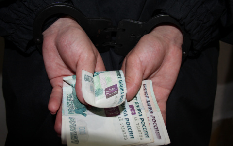 В Йошкар-Оле задержали двух адвокатов