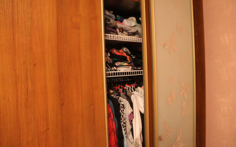 Молодой житель Марий Эл позарился на содержимое шкафа своей соседки