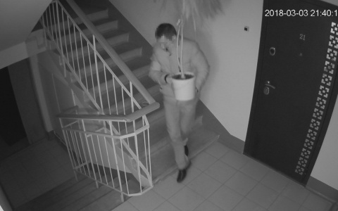 В Марий Эл в одном и том же подъезде воруют то горшки, то лампочки