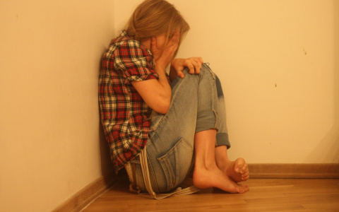 Опекун истязала 16-летнего подростка в Марий Эл: что говорят соседи?