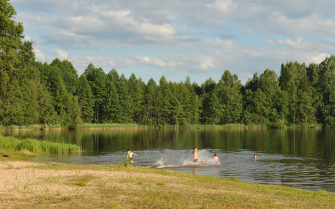 Глава Марий Эл поручил привести в порядок пляж за одну неделю