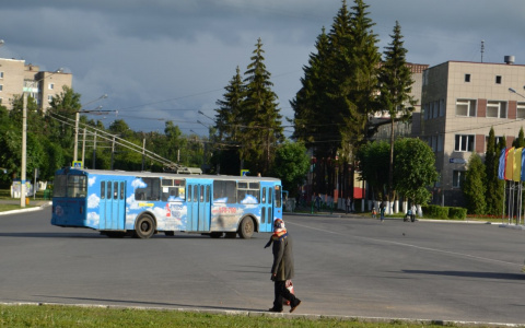 Троллейбусники Йошкар-Олы отказываются называть будущую цену на проезд